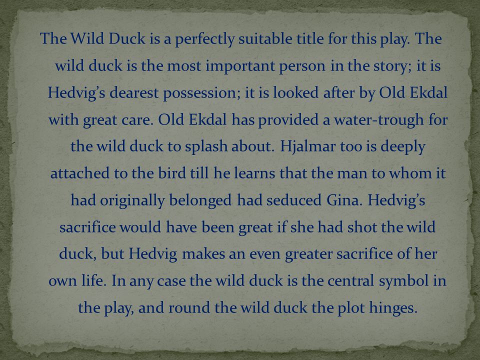 the wild duck summary